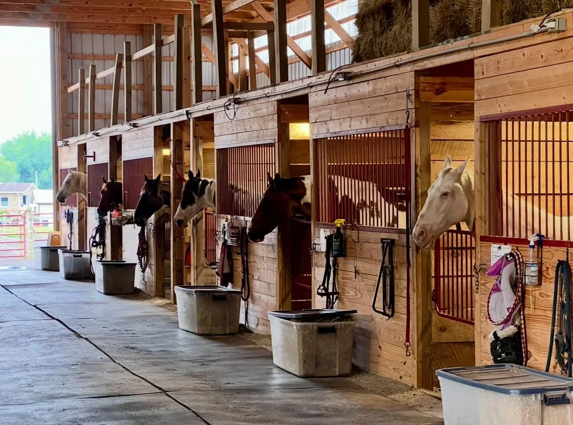 Clean stalls along the Legacy Ranch barn aisle
